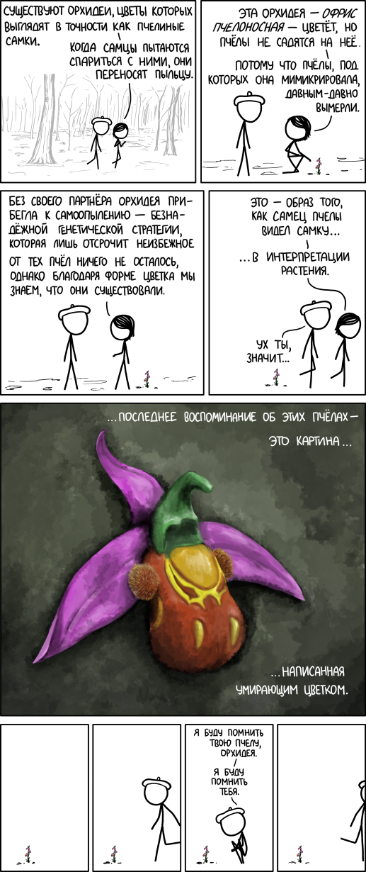 Пчелиная орхидея