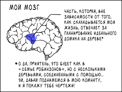 Мозг