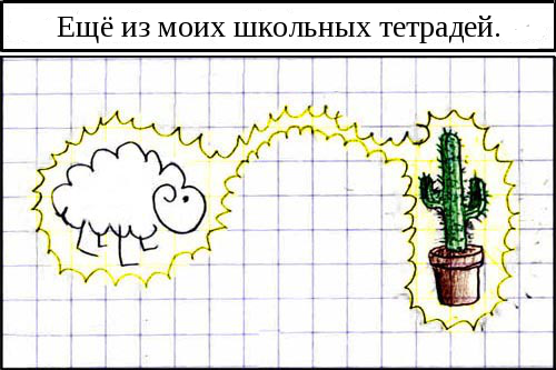 Овца