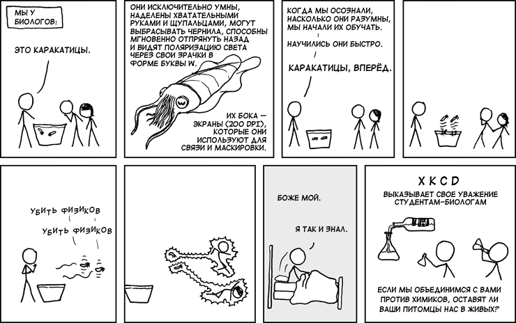 Каракатицы