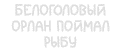 Частота